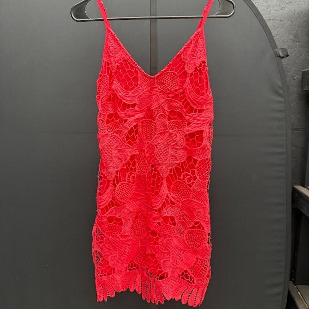 Express Red Floral Lace Dress